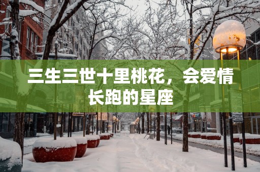 三生三世十里桃花，会爱情长跑的星座