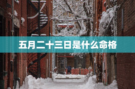 五月二十三日是什么命格