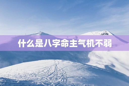 什么是八字命主气机不弱