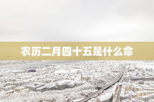 农历二月四十五是什么命