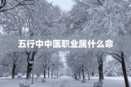 五行中中医职业属什么命