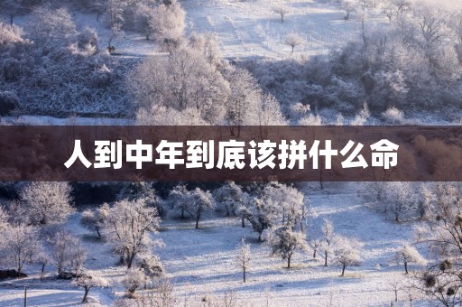 人到中年到底该拼什么命