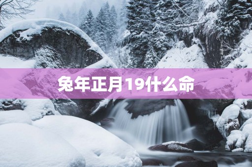 蛇年正月19什么命