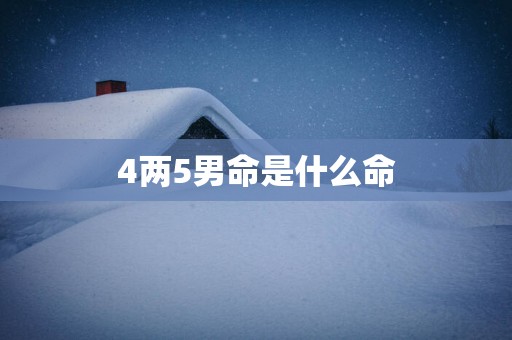 4两5男命是什么命