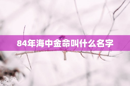 84年海中金命叫什么名字