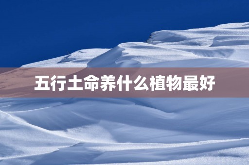 五行土命养什么植物最好