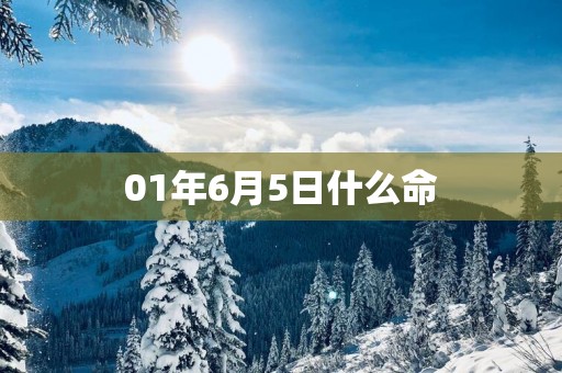 01年6月5日什么命