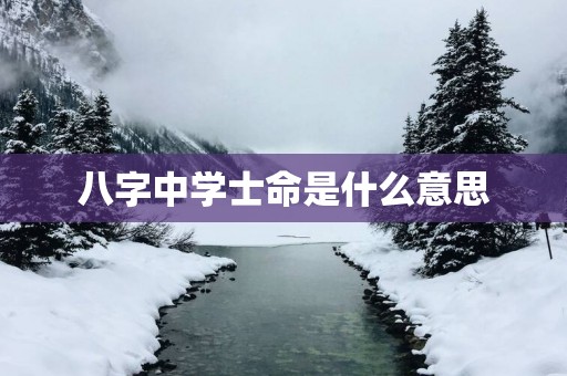八字中学士命是什么意思