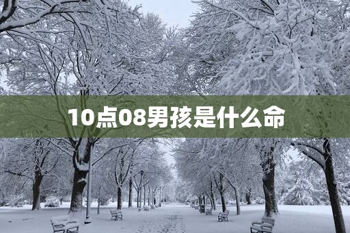 10点08男孩是什么命