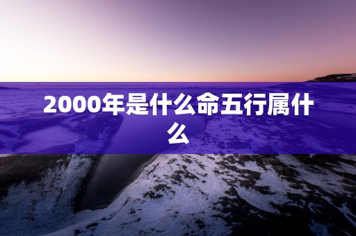 2000年是什么命五行属什么