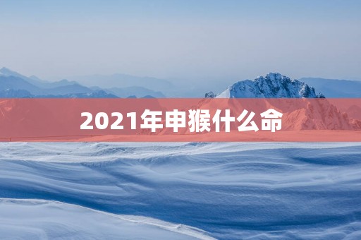 2021年申猴什么命