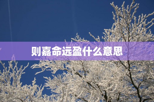 则嘉命远盈什么意思