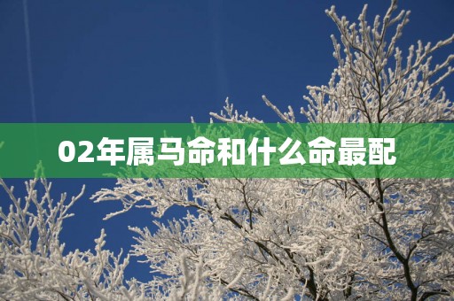 02年属马命和什么命最配