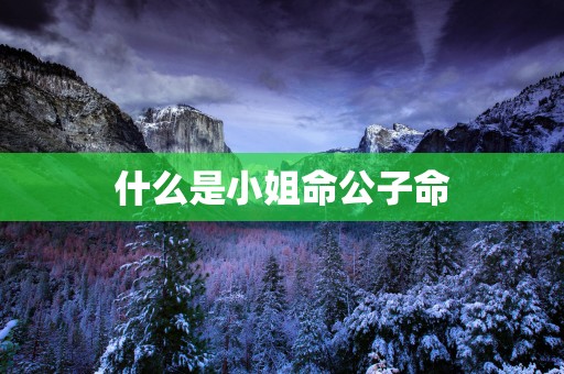 什么是小姐命公子命