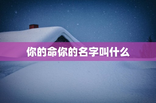 你的命你的名字叫什么