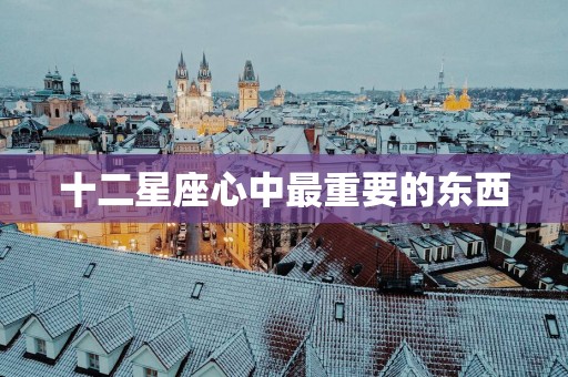 十二星座心中最重要的东西