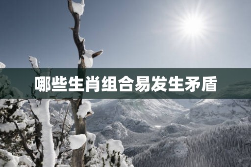 哪些生肖组合易发生矛盾