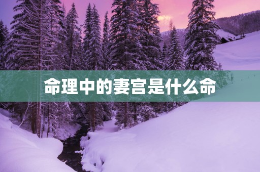 命理中的妻宫是什么命