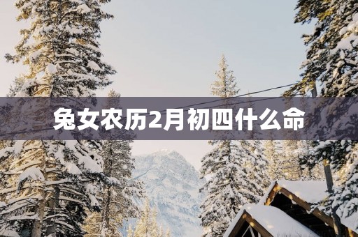 兔女农历2月初四什么命