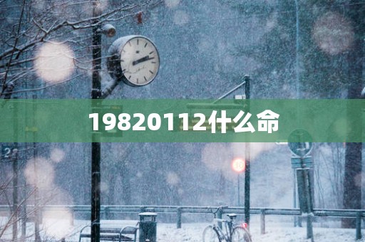 19820112什么命