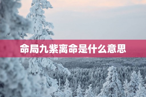 命局九紫离命是什么意思