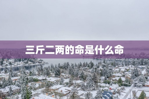 三斤二两的命是什么命