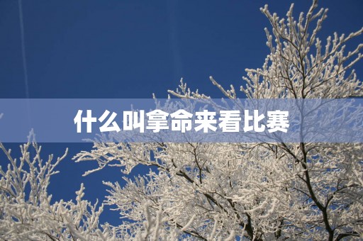 什么叫拿命来看比赛