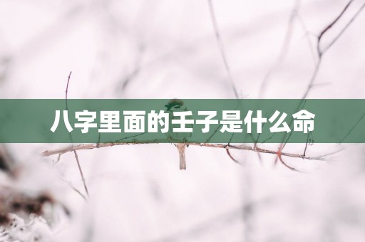 八字里面的壬子是什么命