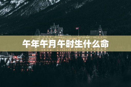 午年午月午时生什么命
