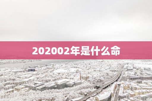 202502年是什么命