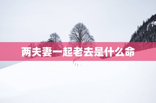 两夫妻一起老去是什么命