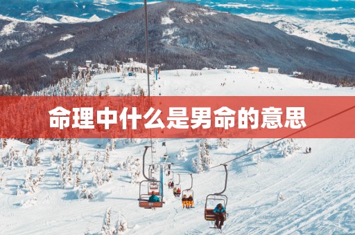 命理中什么是男命的意思