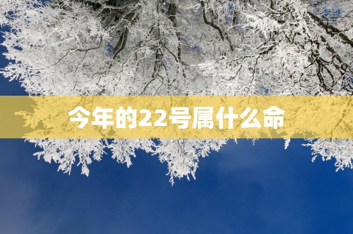 今年的22号属什么命