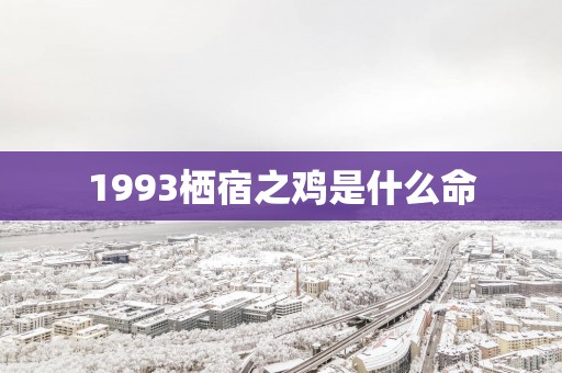1993栖宿之鸡是什么命