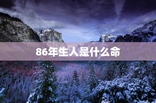 86年生人是什么命