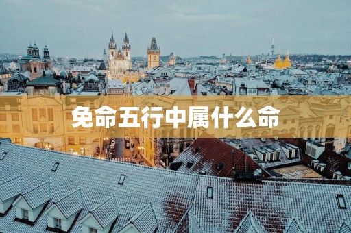 免命五行中属什么命