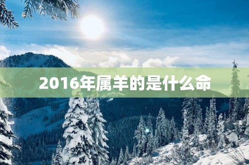 2016年属羊的是什么命