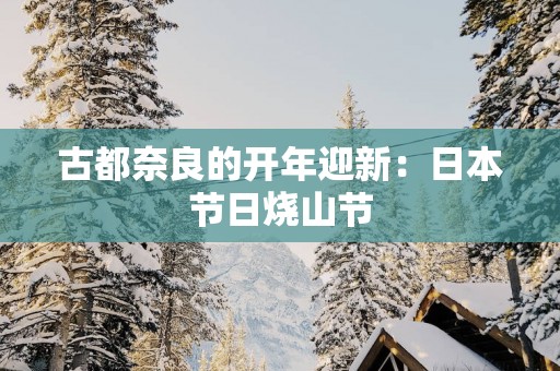 古都奈良的开年迎新：日本节日烧山节