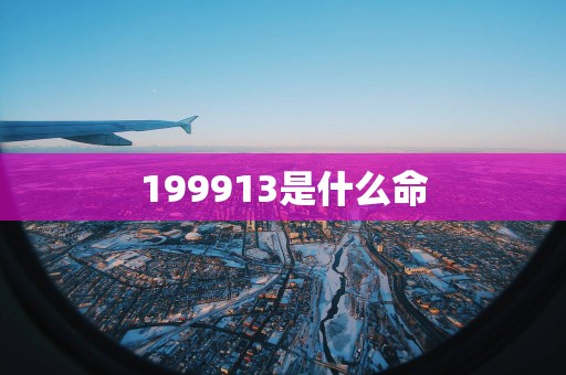 199913是什么命