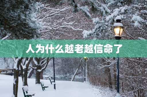 人为什么越老越信命了