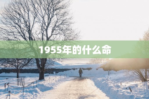 1955年的什么命