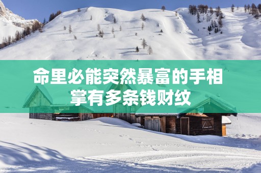 命里必能突然暴富的手相 掌有多条钱财纹
