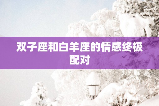 双子座和白羊座的情感终极配对