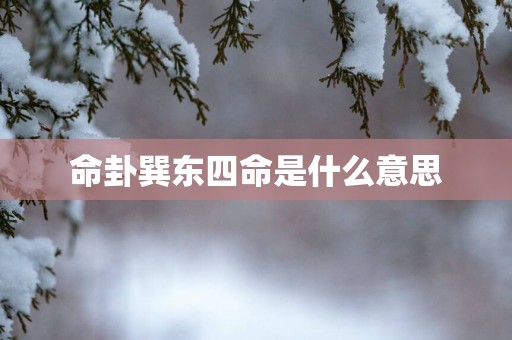 命卦巽东四命是什么意思