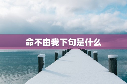 命不由我下句是什么