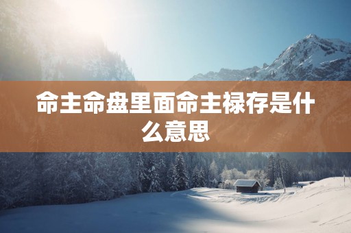 命主命盘里面命主禄存是什么意思