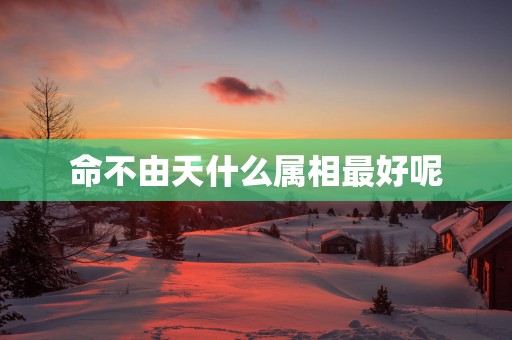 命不由天什么属相最好呢