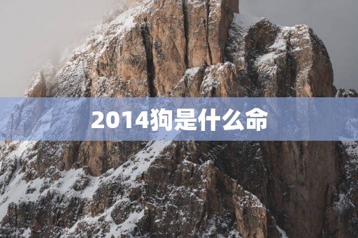 2014狗是什么命