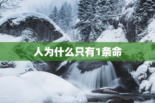 人为什么只有1条命