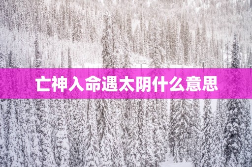 亡神入命遇太阴什么意思